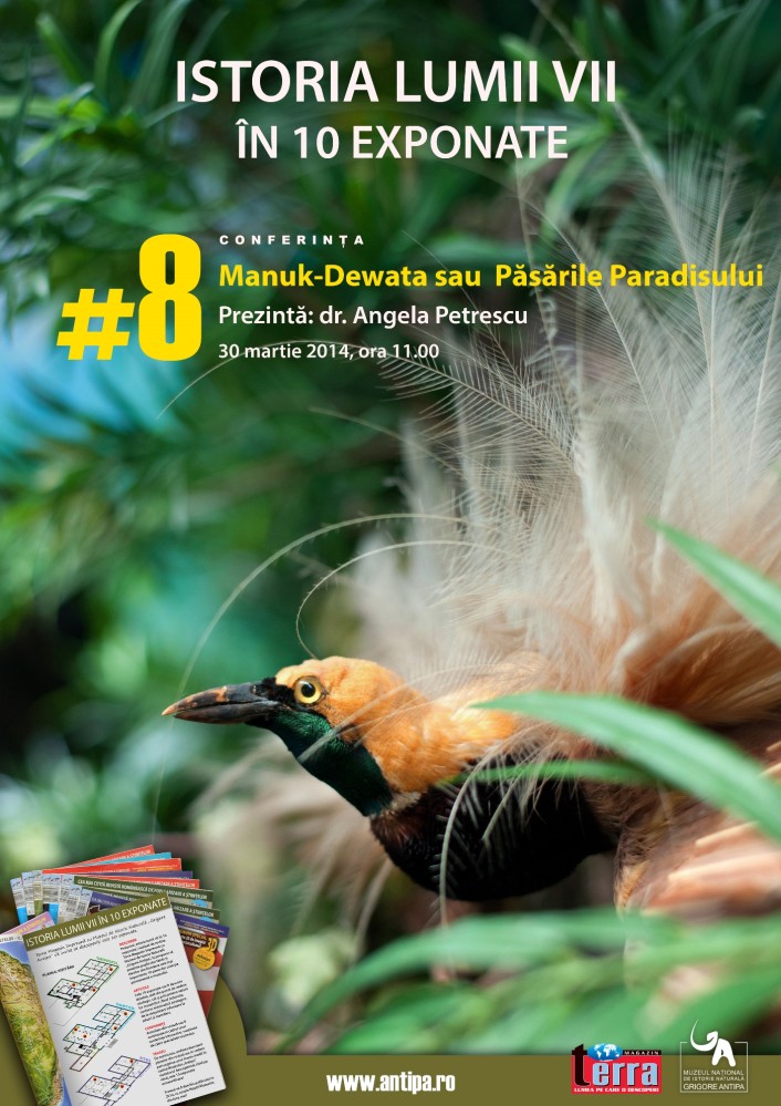 PASARILE PARADISULUI ajung la Muzeul Antipa