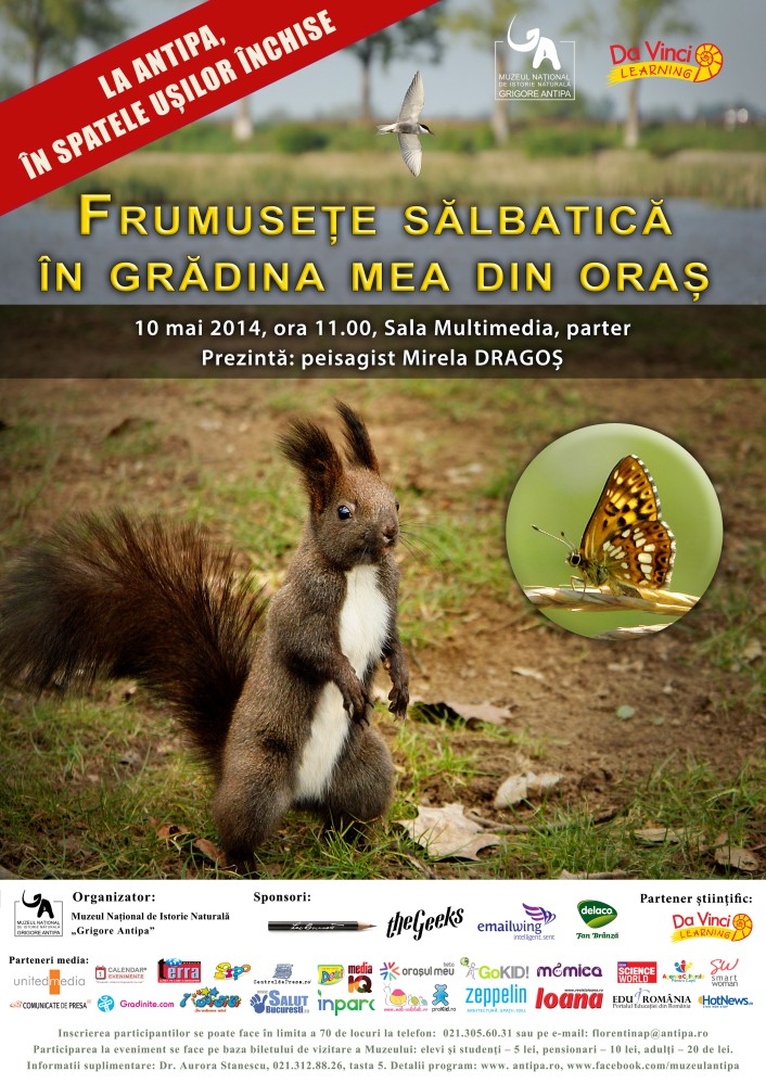 Frumusete salbatica in gradina mea din oras