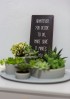 DESIGN&AFTER - magazin de design interior, pentru copii si parinti