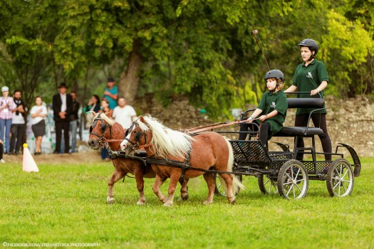 Karpatia Pony Show 2017. Program, concursuri și bilete