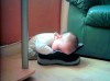 Copiii pot dormi oriunde și în orice poziție: 10 fotografii concludente