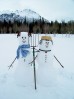 Cum să faci un om de zăpadă:  Ghid pentru copii și părinți