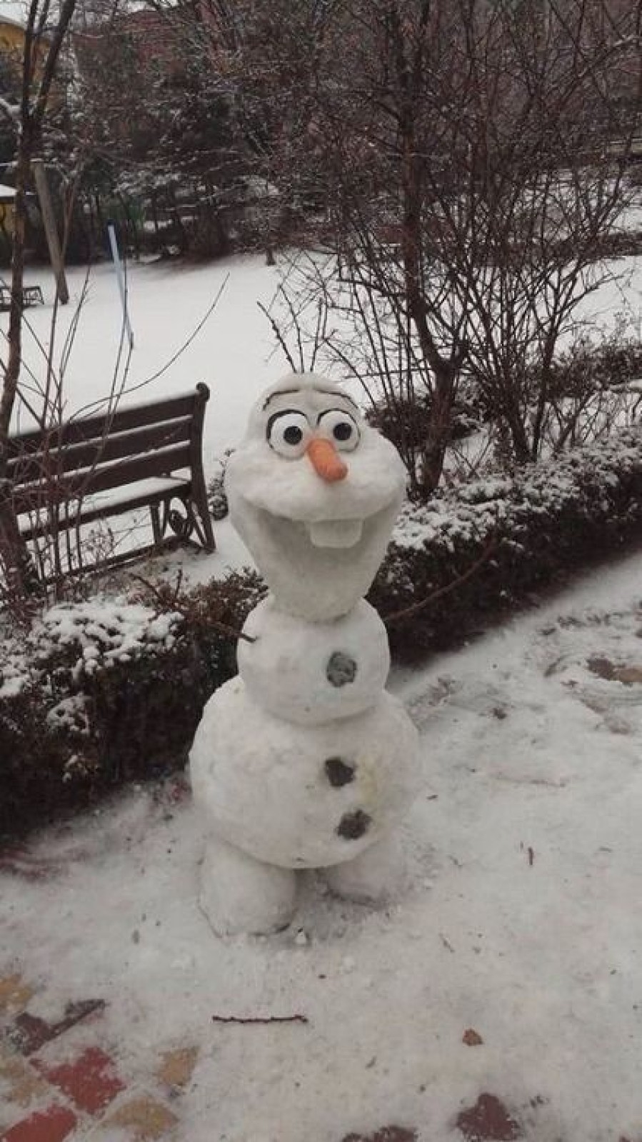 cum se pierde un om de zăpadă în greutate)
