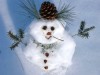 Cum să faci un om de zăpadă:  Ghid pentru copii și părinți