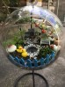 Terrarium pentru copii: Lumea poveștilor într-un bol de sticlă