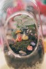 Terrarium pentru copii: Lumea poveștilor într-un bol de sticlă