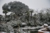 Lumea poveștilor în zăpadă!  Ninsoarea a transformat Disneyland Paris într-un tărâm de basm