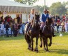 Karpatia Horse Show împlinește 5 ani de când și-a deschis porțile spectatorilor! 