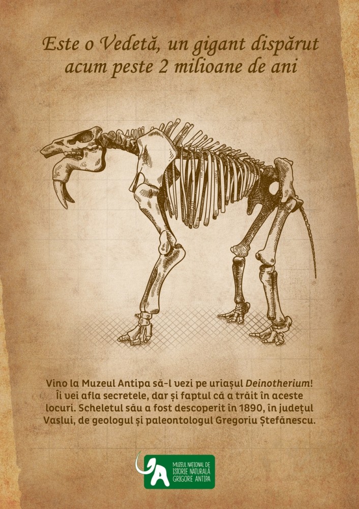 Uriașul Deinotherium vine la Muzeul Antipa