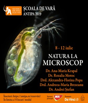 Natura la microscop – ateliere pentru copii la Muzeul Antipa
