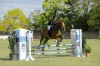 Spectacol ecvestru de top pentru 12.000 de spectatori la Karpatia Horse Show