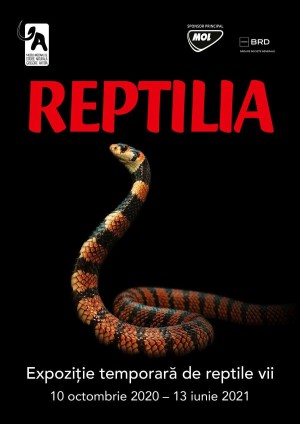 “Reptilia”, o nouă expoziție la Muzeul Antipa