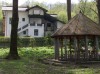 Parcul Natural Comana
